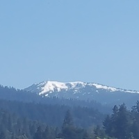 Notary Public in Spring, Texas 77373, Demetria  Tipps