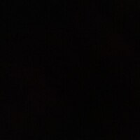 Notary Public in New York, New York 10016, Alexandra Sherer