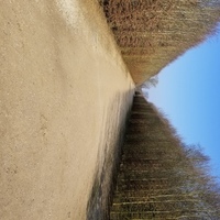 Notary Public in Dallas, Texas 75203, Alicia Nixon