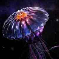 Notary Public in Chicago , Illinois 60608, Yolanda Walton