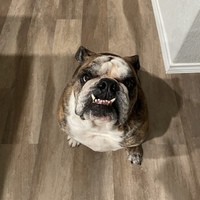 Notary Public in San Antonio, Texas 78261, M L