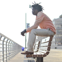 Notary Public in Charlotte, North Carolina 28216, Dominick Williams