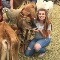 Notary Public in Thorton, Colorado 80023, Dessa Pastore