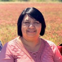 Notary Public in SAN ANTONIO, Texas 78245, Maria Guadalupe (Lupe) Vasquez