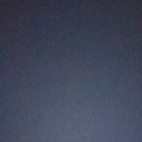 Notary Public in Orlando , Florida 32832, d p