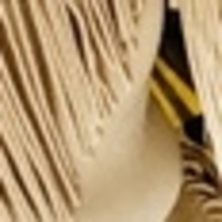 Notary Public in CartersvIlle , Georgia 30120, Brianna Brown