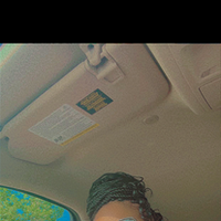 Notary Public in Southfield , Michigan 48033, nikitha mickel