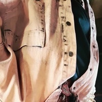 Notary Public in Joliet, Illinois 60435, Tawana  Bellamy