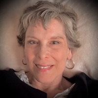 Notary Public in Burton, Michigan 48519, Robin Panigi