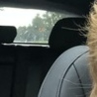 Notary Public in Winston, Georgia 30187, Nicole Kemp