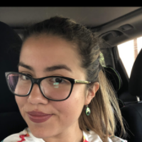 Notary Public in Chicago , Illinois 60647, lizbeth artica