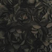 Notary Public in Houston, Texas 77088, GIOVANNA DELACRUZ