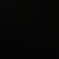 Notary Public in Houston, Texas 77065, Stephanie Holloway