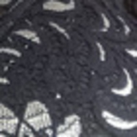 Notary Public in Miami, Florida 33169, Cyrena McFarlane 