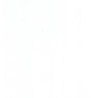 Notary Public in Miami, Florida 33175, MARIA MOREJON