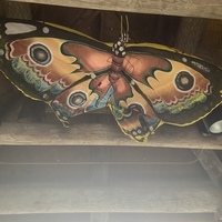 Notary Public in Chicago, Illinois 60623, Dawn Anderson