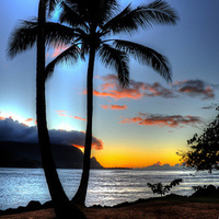 Notary Public in Santa Rosa, California 95401, Julie A Gwin