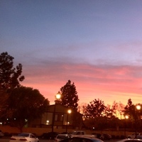 Notary Public in San Dimas, California 91773, Lisa Bittner