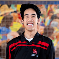 Notary Public in Houston, Texas 77099, Kaleb Vu