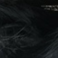 Notary Public in Houston, Texas 77066, Antionette Jones