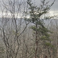 Notary Public in Hoover, Alabama 35244, John Doe