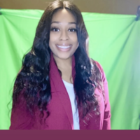 Notary Public in Chicago, Illinois 60653, Tierra Mcgee