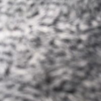 Notary Public in West Palm Beach, Florida 33407, Gail Lovett