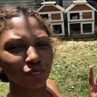 Notary Public in Chicago , Illinois 60628, Asiah  Carter 