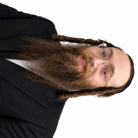 Notary Public in Linden, New Jersey 07036, ELIEZER BLUM