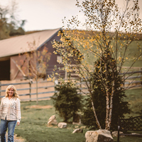 Notary Public in ALTOONA, Pennsylvania 16601, Denise Morder