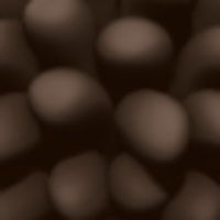 Notary Public in North Miami Beach, Florida 33179, Sonya Washington