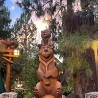 Notary Public in Oakland, California 94621, aracely amaya