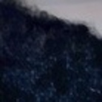 Notary Public in Atlanta, Georgia 30339, Erica Nobles