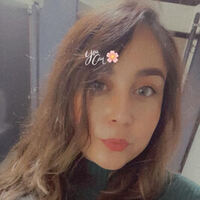 Notary Public in Chicago, Illinois 60624, Samantha Meraz