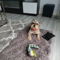 Notary Public in Port St Lucie, Florida 34953, Raquel Donalds