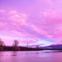 Notary Public in Rathdrum, Idaho 83858, Stephanie Warnke