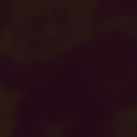 Notary Public in Richardson, Texas 75081, Ambre C