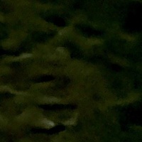 Notary Public in Houston, Texas 77089, Yo Yi