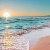 Notary Public in Davie , Florida 33325, Sabina Ben-Dayan