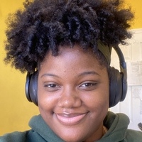 Notary Public in Philadelphia, Pennsylvania 19120, Ducarmelle  Stlouis