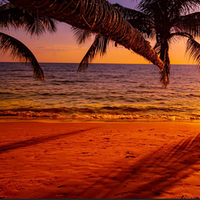 Notary Public in Biloxi , Mississippi 39531, Beverly Jupiter 