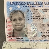 Notary Public in Dawsonville, Georgia 30534, Dominique Davis