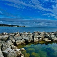 Notary Public in Lansing, Michigan 48917, Heather Burnett