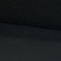 Notary Public in Alexandria, Virginia 22314, Dion Wilson