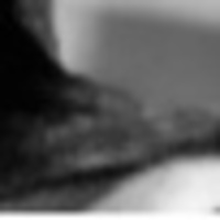 Notary Public in Fairburn , Georgia 30213, Kimberly  Rucker 