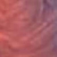 Notary Public in McDonough, Georgia 30252, MARCIA BROWN