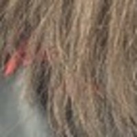 Notary Public in Idaho Falls, Idaho 83401, Angela  Caldwell