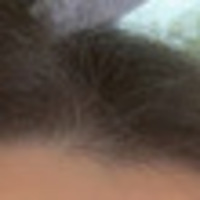 Notary Public in Whitehall, Pennsylvania 18052, Foumia  Laham 