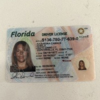 Notary Public in Zephyrhills , Florida 33541, Sheila Saavedra