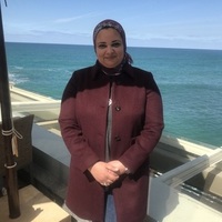 Notary Public in Colonial Heights, Virginia 23834, Noha Sabry